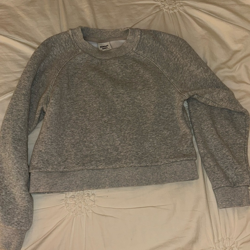 Aritzia Sunday Best Cropped Gray Crewneck